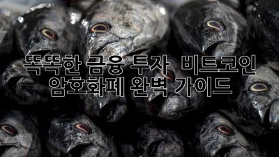 똑똑한 금융 투자 🚀 비트코인 & 암호화폐 완벽 가이드 💡