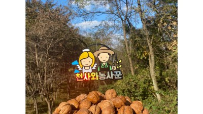 헐! 믿을 수 없어! 호두가격 완전 꿀팁 대방출🤫