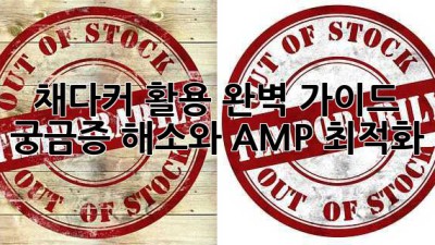 채다커 활용 완벽 가이드: 궁금증 해소와 AMP 최적화